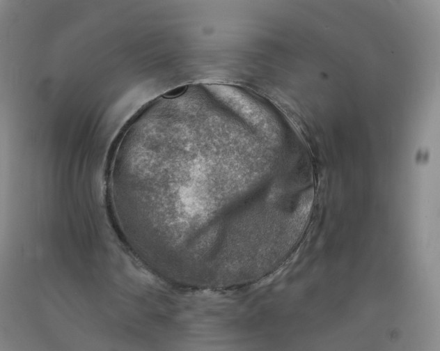 X0000090930290200708201835