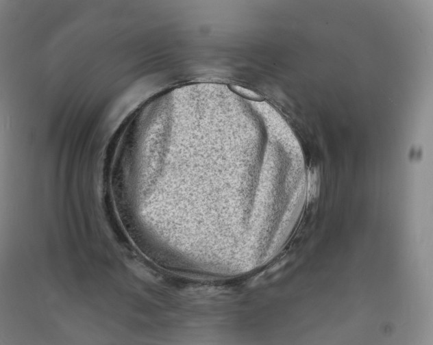 X0000090930291200708201835