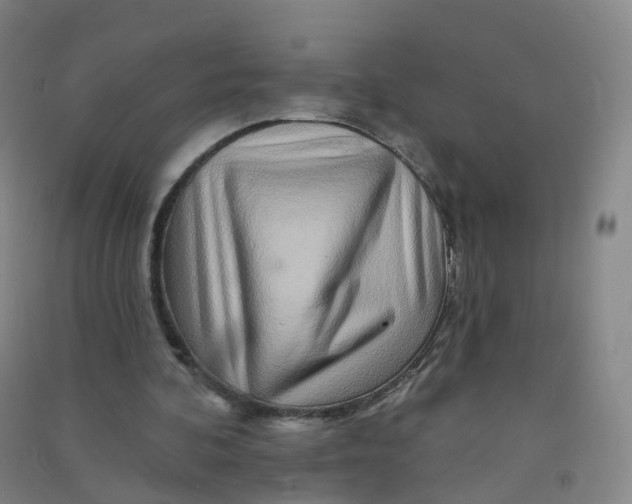 X0000090930292200708201834