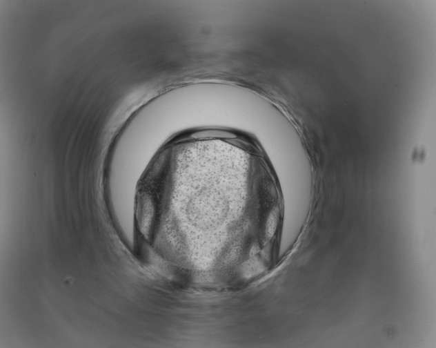 X0000090930293200708201834