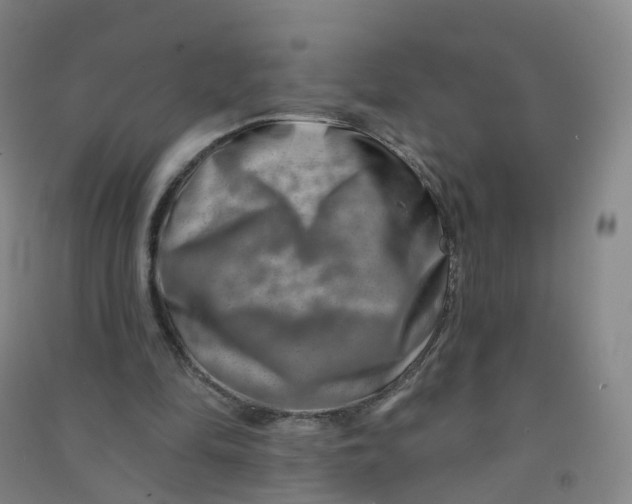 X0000090930294200708201834