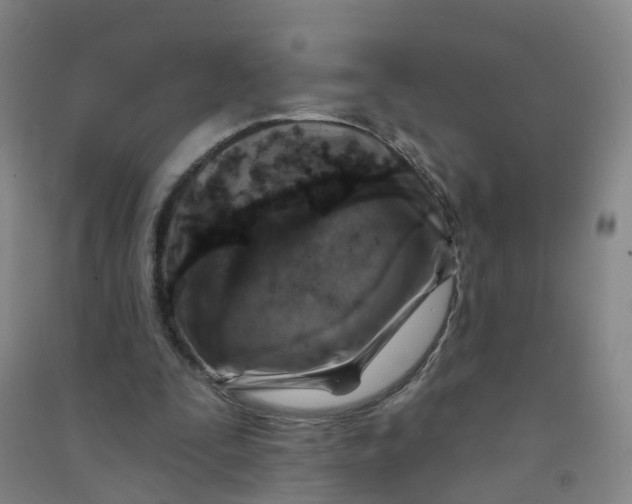 X0000090930295200708201834