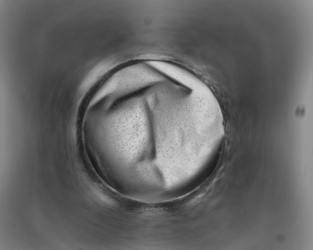 X0000090930296200708201834