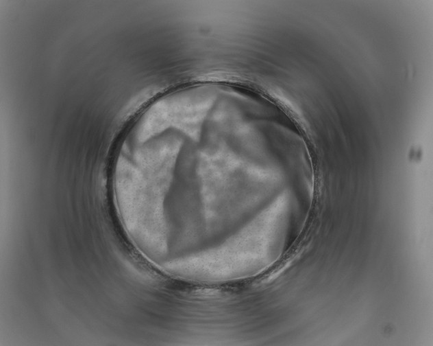 X0000090930298200708201834