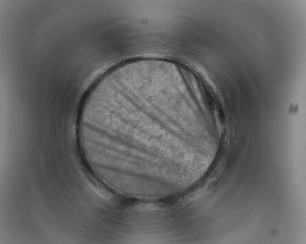 X0000090930299200708201834