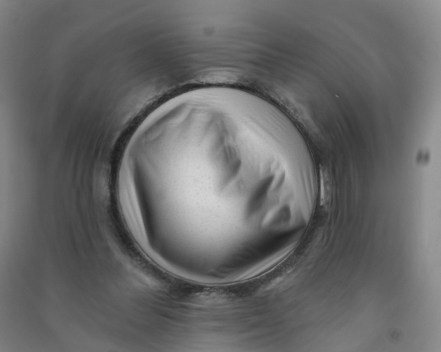 X0000090930300200708201834