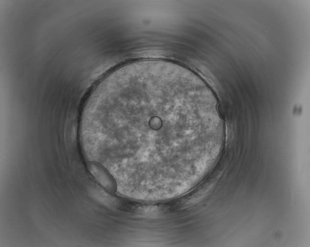 X0000090930301200708201834