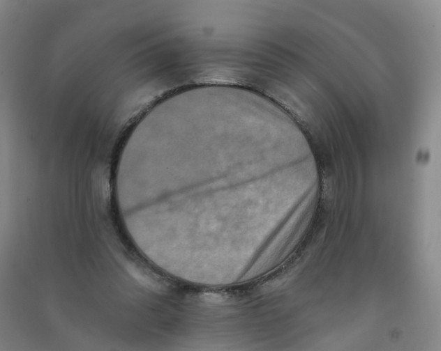 X0000090930302200708201834