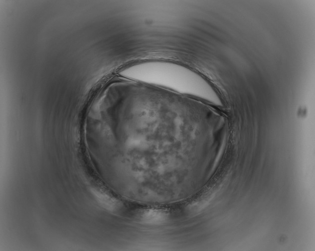 X0000090930303200708201834