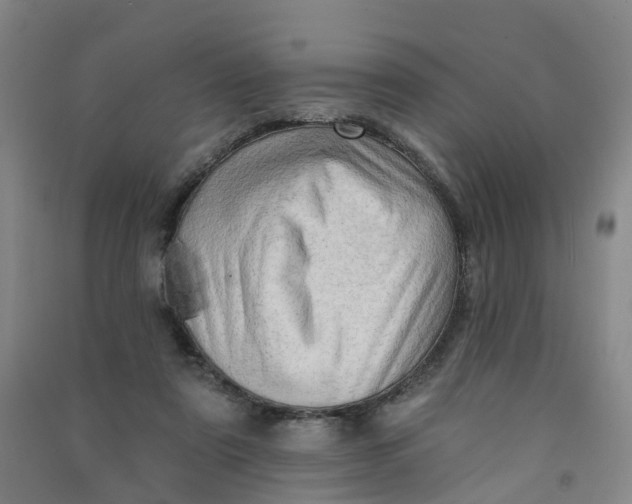 X0000090930307200708201834