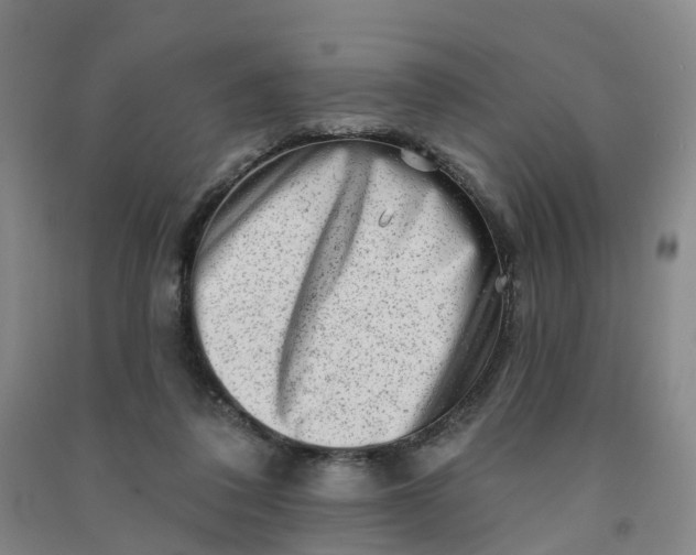 X0000090930308200708201834