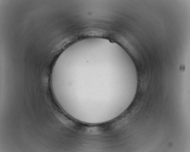 X0000090930309200708201834