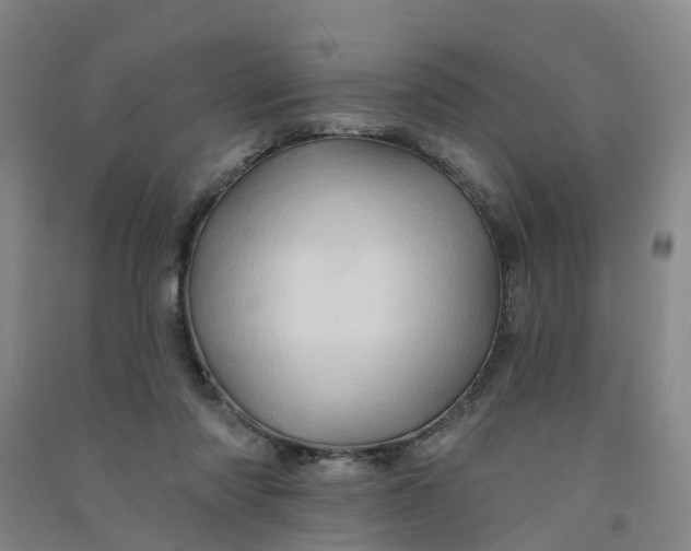 X0000090930310200708201834