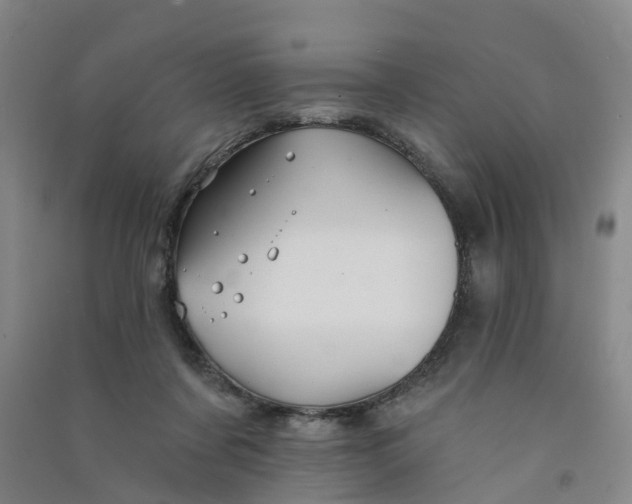 X0000090930311200708201834