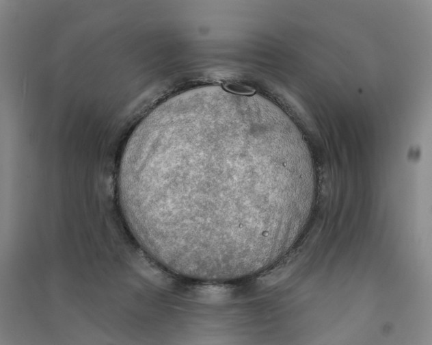 X0000090930313200708201834