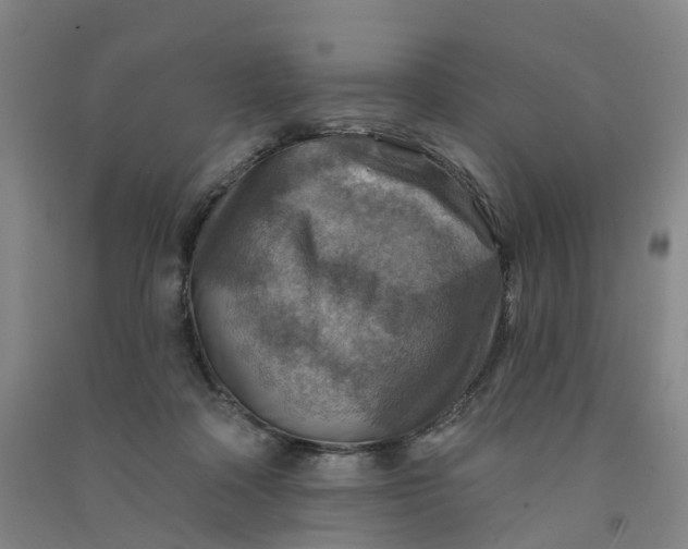 X0000090930314200708201834