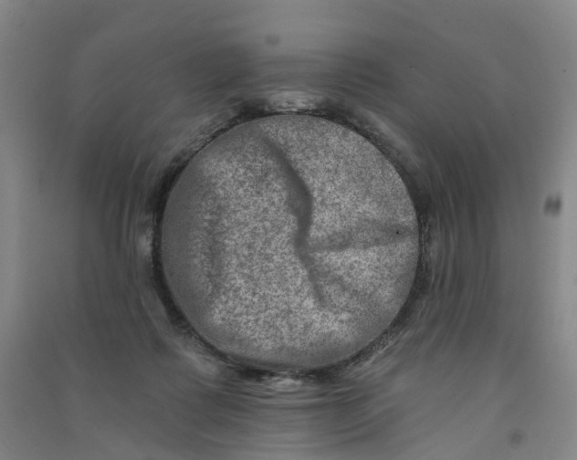 X0000090930315200708201834