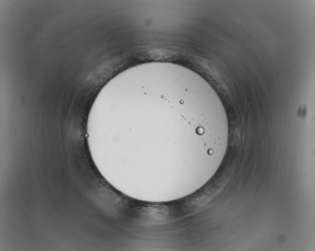 X0000090930317200708201834