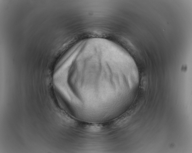 X0000090930318200708201834