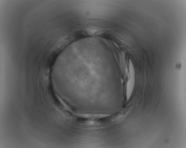 X0000090930319200708201834