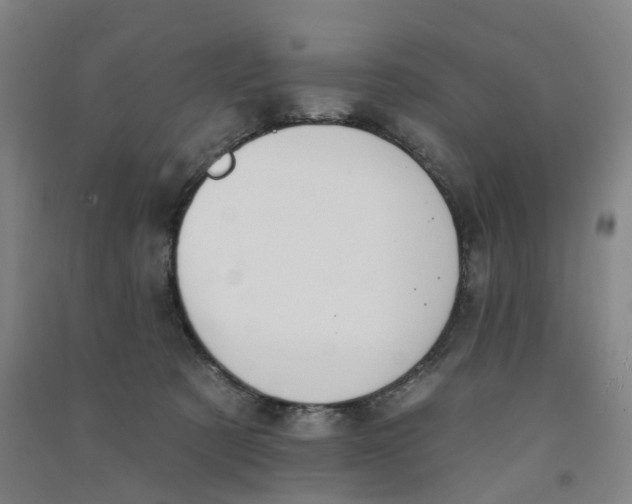 X0000090930321200708201834