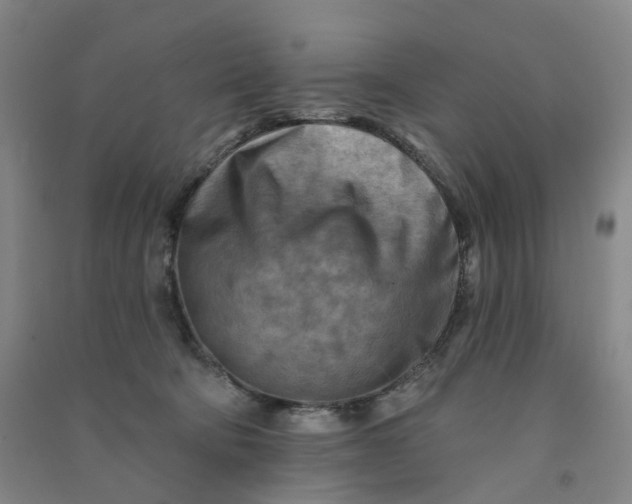 X0000090930322200708201834