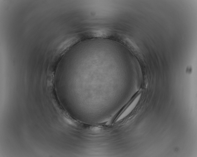 X0000090930325200708201834