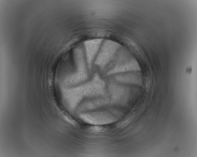 X0000090930326200708201834