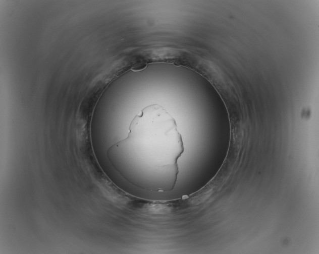 X0000090930327200708201834