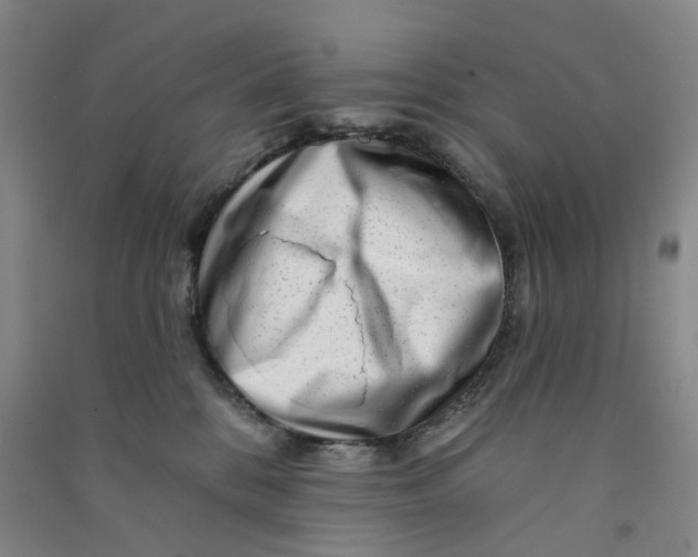 X0000090930328200708201834