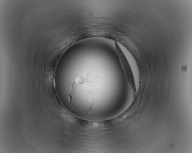 X0000090930329200708201834