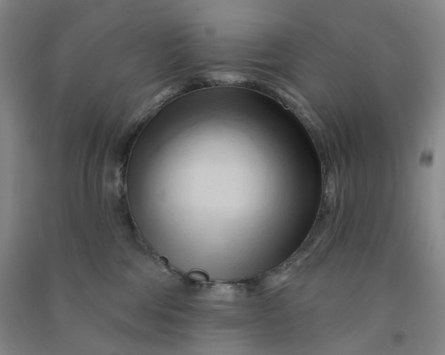 X0000090930330200708201834