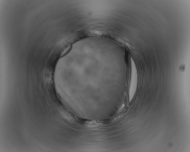 X0000090930331200708201834