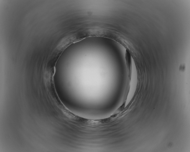 X0000090930333200708201834