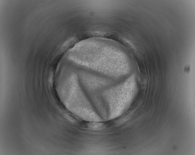 X0000090930334200708201834