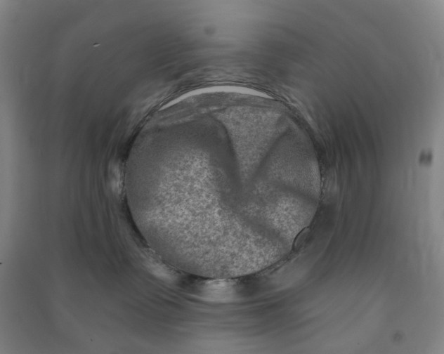 X0000090930335200708201834