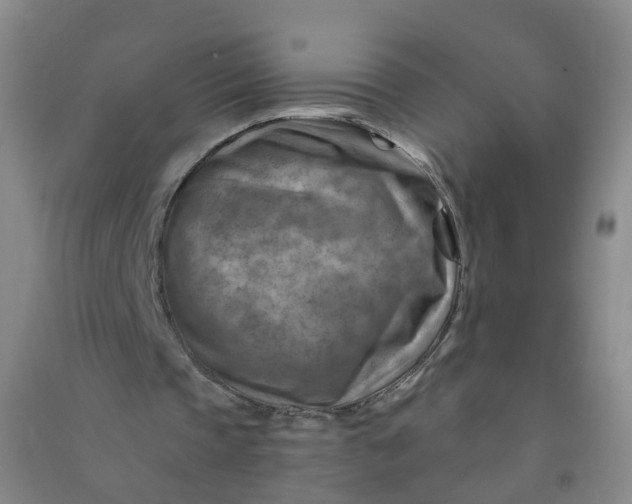 X0000090930337200708201833