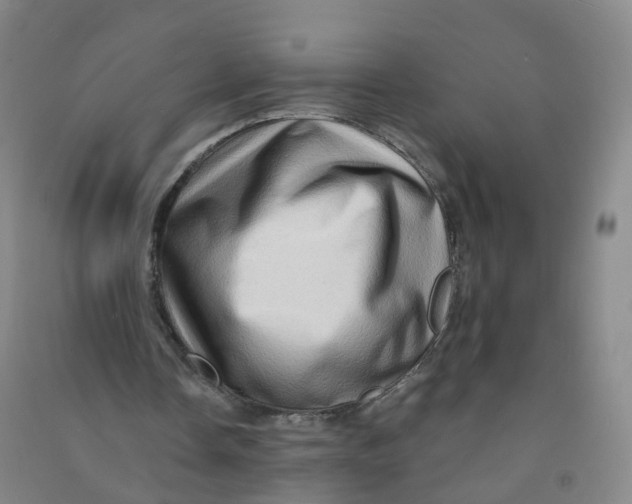 X0000090930338200708201833