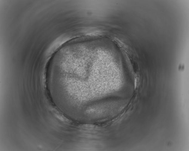 X0000090930339200708201833