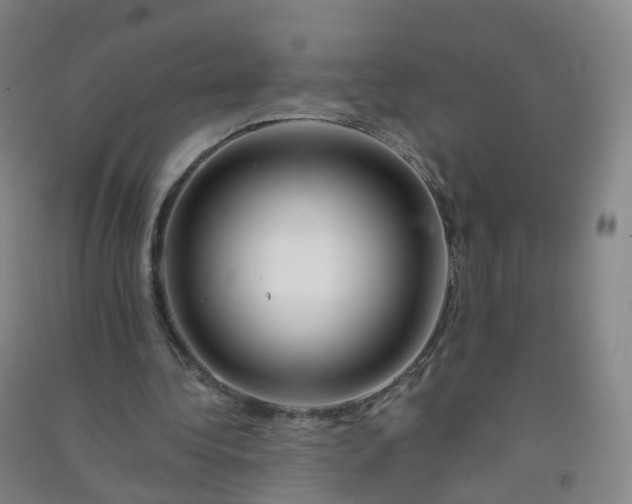 X0000090930340200708201833