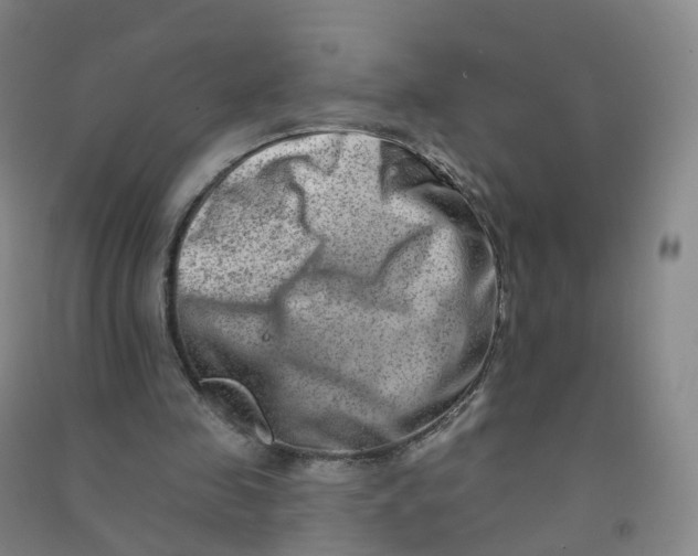 X0000090930341200708201833