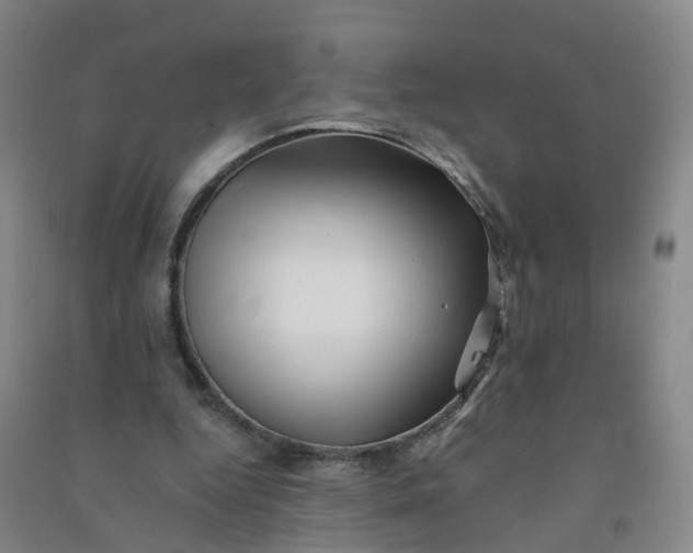 X0000090930344200708201833