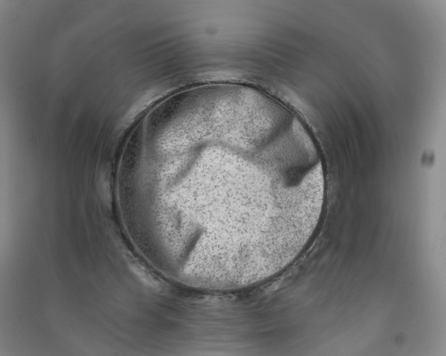 X0000090930345200708201833