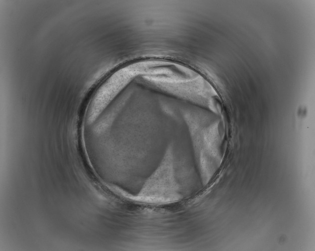 X0000090930346200708201833