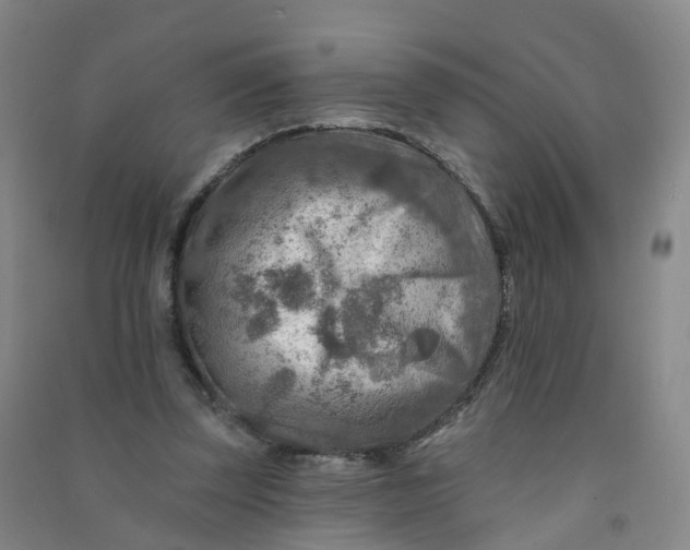 X0000090930347200708201833