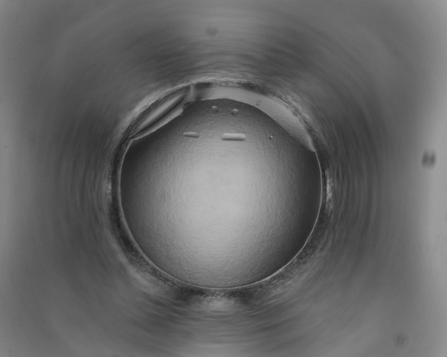 X0000090930348200708201833