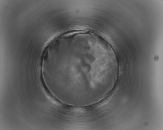 X0000090930349200708201833