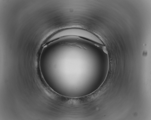 X0000090930350200708201833