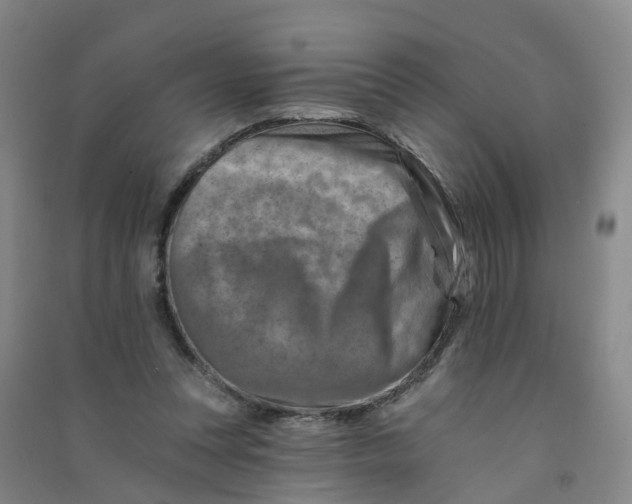 X0000090930351200708201833