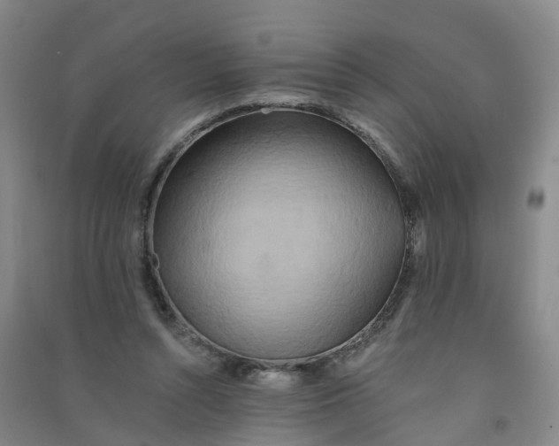 X0000090930352200708201833